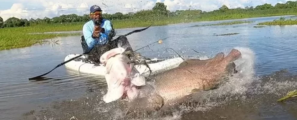 Pirarucu no DF: Peixe exótico chega ao Lago Paranoá em ação ilegal! Pirarucu no DF: Peixe exótico chega ao Lago Paranoá em ação ilegal!